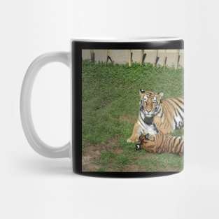 Tiger Mother and Cub Mug
